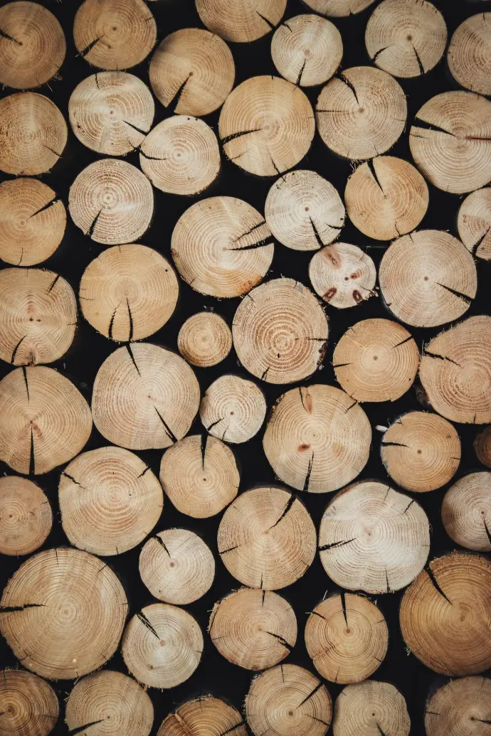 CS BOX MAKERS WOODEN LOGS.JPG